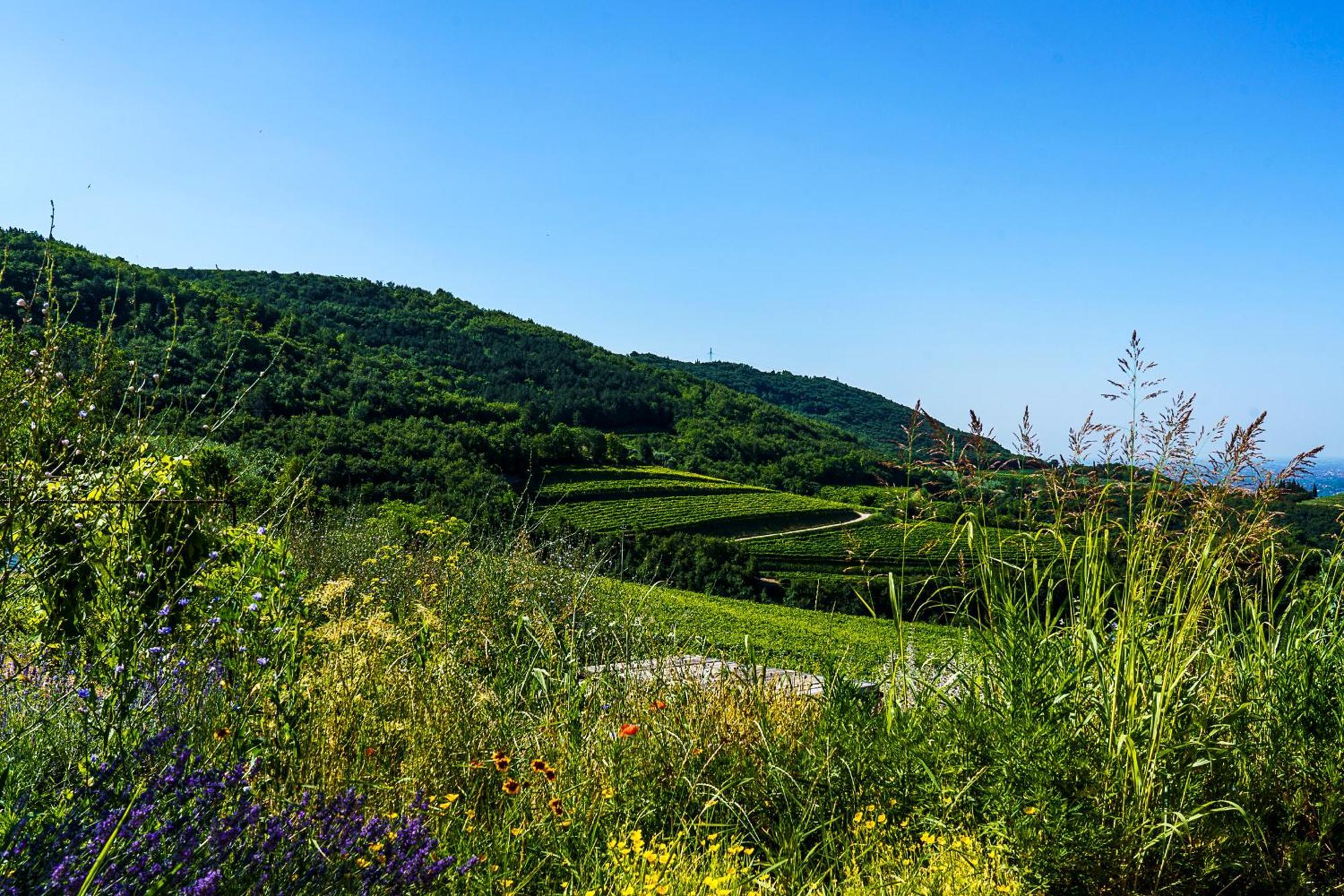 Villa Balis Crema Verona Hills (Adults Only) غريزانا المظهر الخارجي الصورة